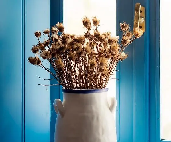 Pyrgaki House Дом отдыха Ареополис